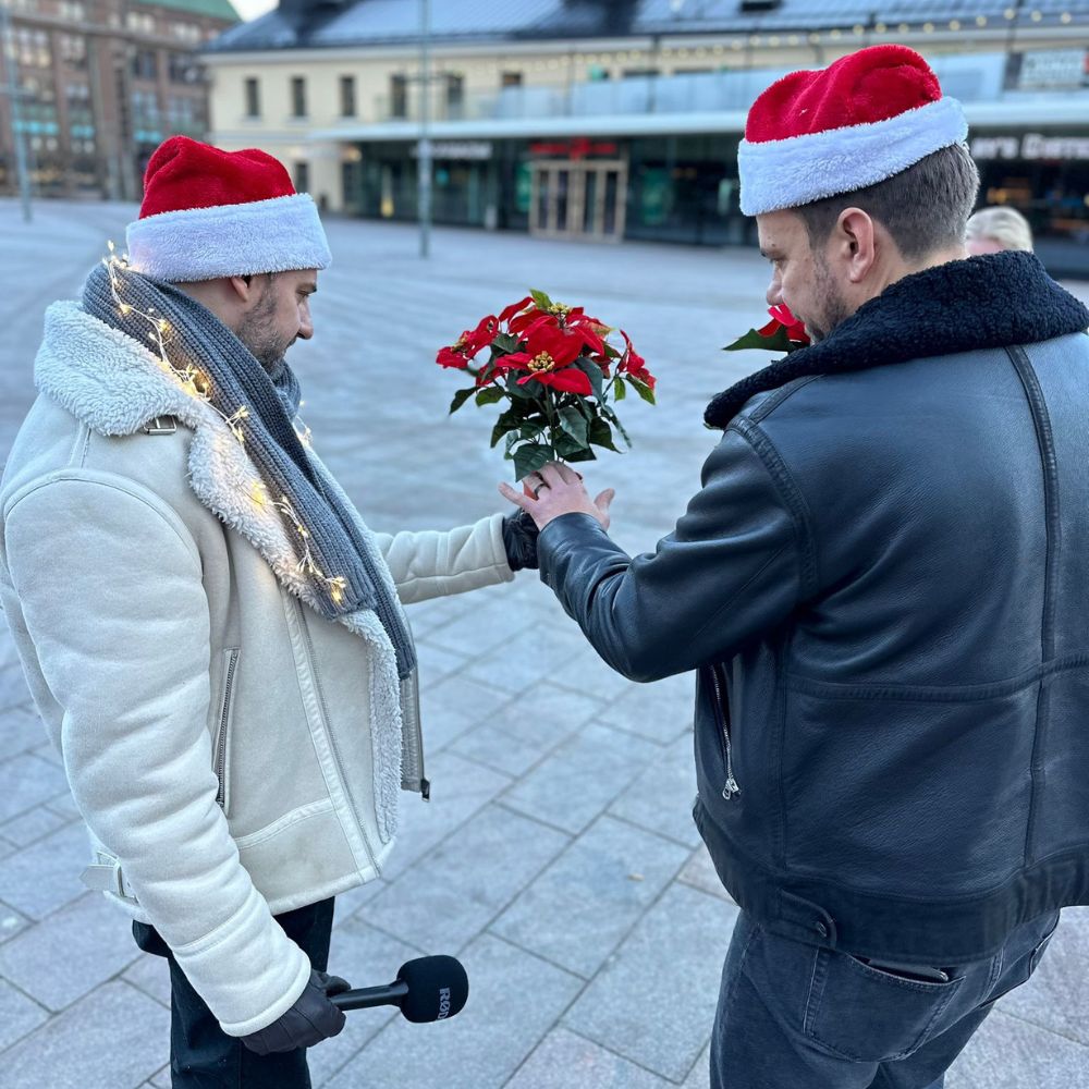 Viherviisikon adventtikalenterin 1. luukussa kysellään aito kasvi vai tekokasvi.