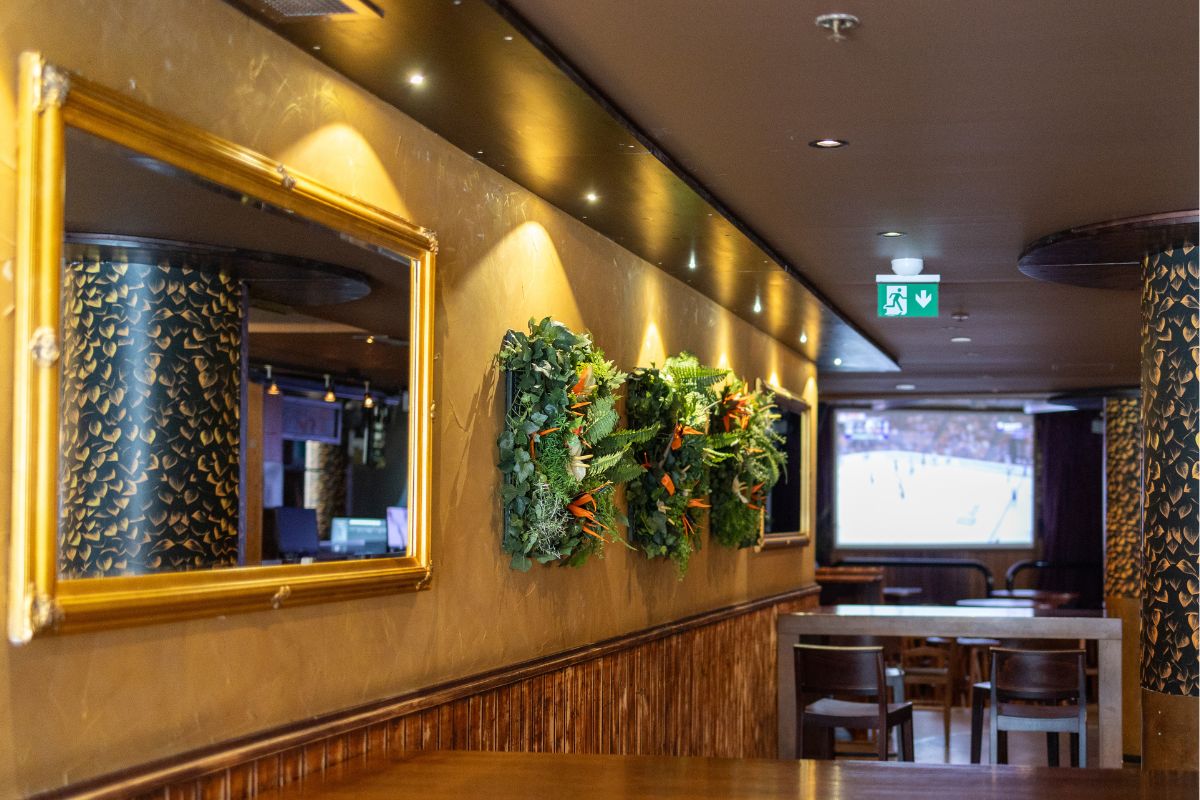 silkkikasviseinä_pub hertas_viherviisikko oy