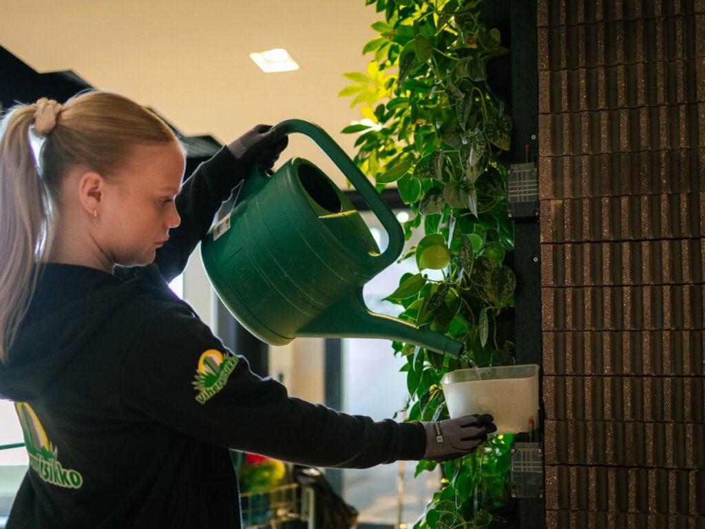 Viherkasvien hoidon työpaikalla voi ulkoistaa ammattilaiselle.